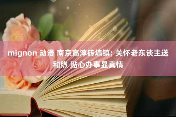 mignon 动漫 南京高淳砖墙镇: 关怀老东谈主送和煦 贴心办事显真情