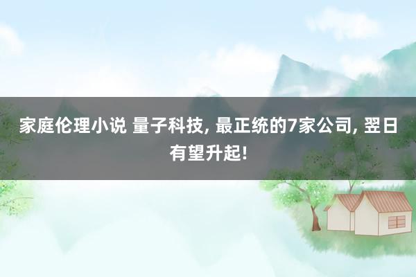 家庭伦理小说 量子科技， 最正统的7家公司， 翌日有望升起!