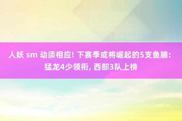 人妖 sm 动须相应! 下赛季或将崛起的5支鱼腩: 猛龙4少领衔， 西部3队上榜