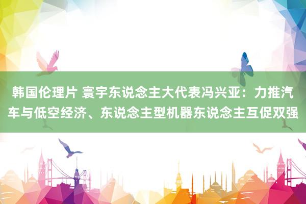 韩国伦理片 寰宇东说念主大代表冯兴亚：力推汽车与低空经济、东说念主型机器东说念主互促双强
