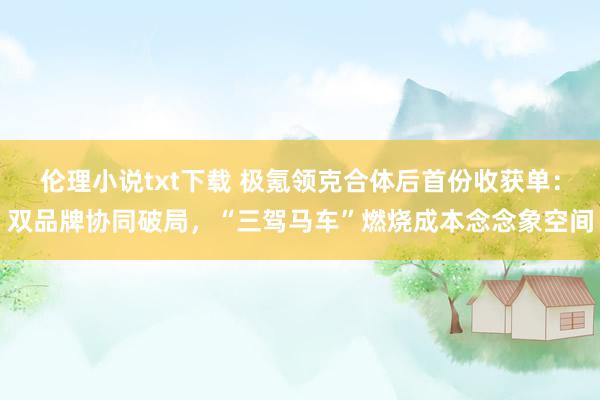 伦理小说txt下载 极氪领克合体后首份收获单：双品牌协同破局，“三驾马车”燃烧成本念念象空间